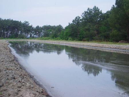 bassins_d_cantation_quinconces_andernos_mai_2008__7_