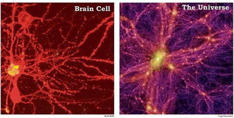 Potage Neurones, Galaxies, Sectes Rock’n’Roll