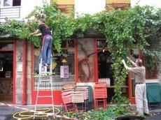 On_ceuille_le_raisin_2 On_ceuille_le_raisin_2