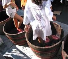 Les_pieds_dans_le_vin Les_pieds_dans_le_vin