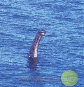 Le Monstre du Loch Ness