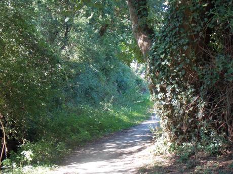 apprivoiser le silence