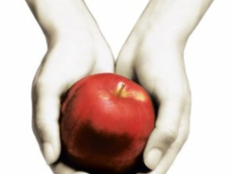 Réédition de la Saga Twilight en Version Poche