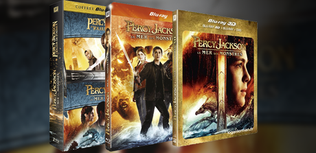 Sorties DVDs / Blu-rays Décembre 2013