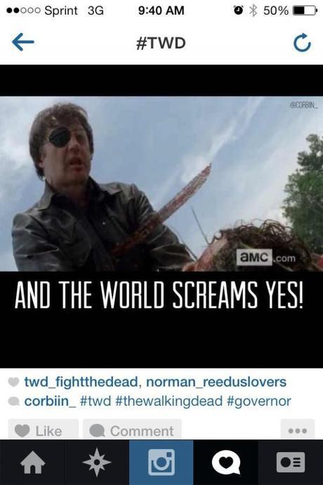 1469797_10151804269946545_738210120_n