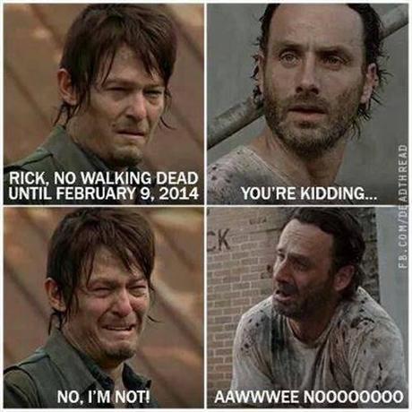 1459875_654857511223495_2128998412_n