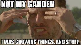 1452419_10152040063020081_1363013111_n