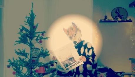 Eklektic co//ection: Noël le compte à rebours