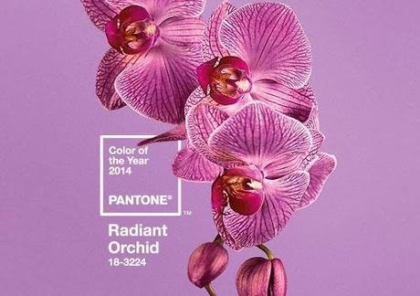 Pantone dévoile la couleur de l'année...