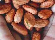 Keimling, produits naturels depuis