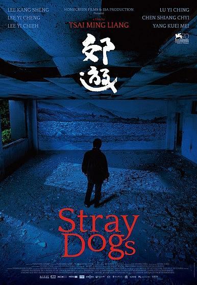 Chiens errants-Stray dogs