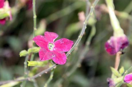 paris 1 dec 2013 039.jpg