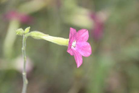 paris 1 dec 2013 041.jpg