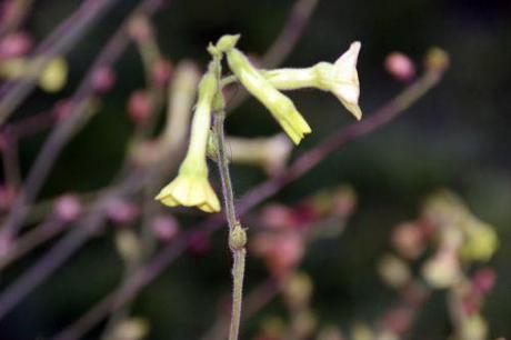 paris 1 dec 2013 042.jpg