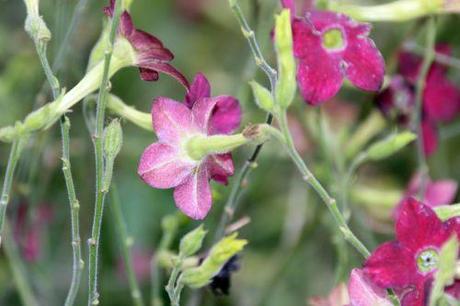 paris 1 dec 2013 040.jpg