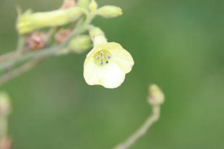 paris 1 dec 2013 043.jpg