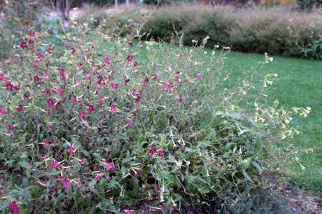 paris 1 dec 2013 037.jpg