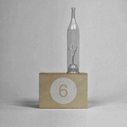 Tree for 2, une designer box poétique Tree for 2, une designer box poétique