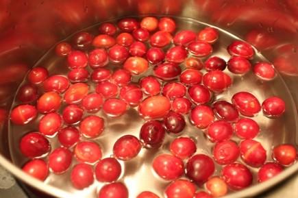 la cuisson des canneberges