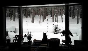 neige par la fenêtre