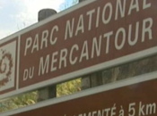 Alpes-Maritimes loup chasseur dimanche décembre Belvédère