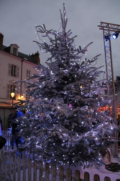 marche-de-noel-orleans-2013 (13)