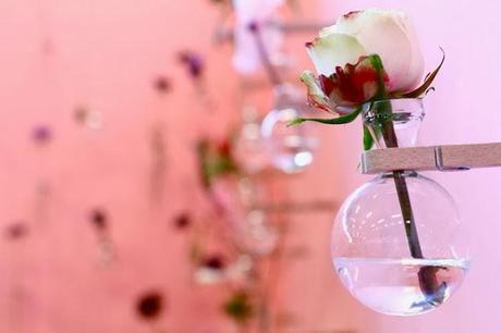 Encore plein de belles choses cette semaine