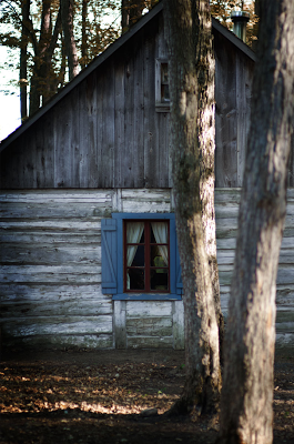 Encore plein de belles choses cette semaine