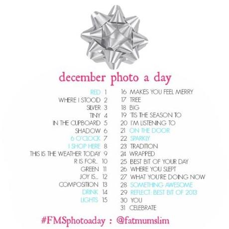 DECEMBER-PHOTO-A-DAY-copie-1.jpg