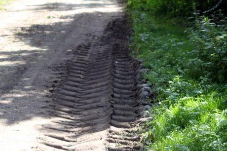 8 a romi 14 sept 2011 017.jpg