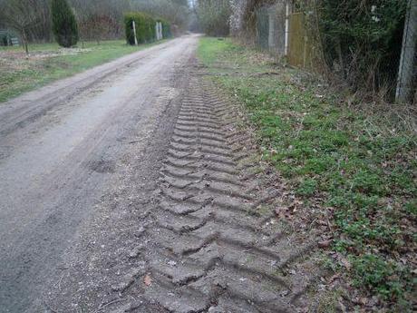 7 romi 17 mars 2010 003 (3).jpg