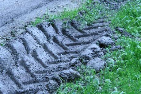 4 22 mai 2008 027.jpg