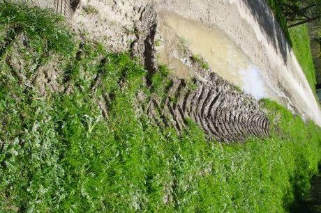 3 26 avril 2008 004.jpg