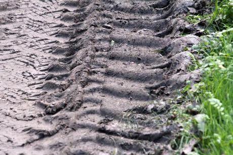 8 romi 14 sept 2011 004.jpg