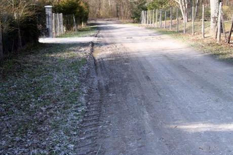 9 16 mars 2009 008 (6).jpg