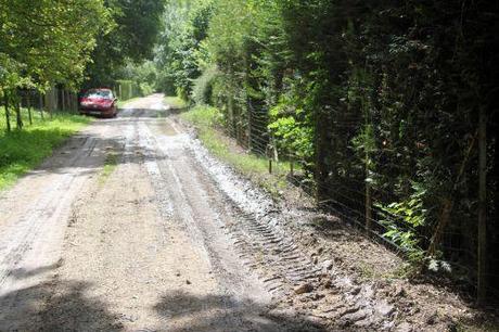 10 grillage romi 22 juin 2012 004.jpg