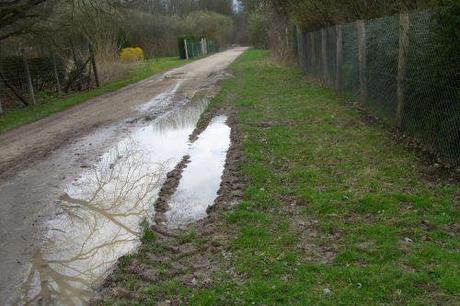 2 17 mars 2008 001 (17).jpg