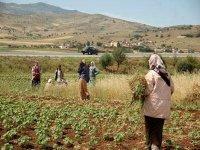 Les zones de montagne - La création d’un observatoire du développement des territoires ruraux au menu d’une rencontre mercredi à Alger