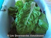 Blettes à la Mexicaine