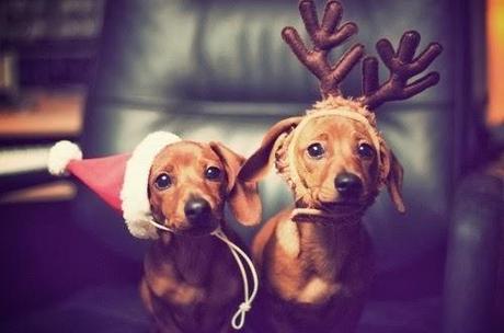 Passage éclair du mercredi!