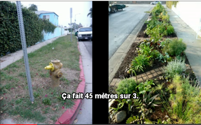 Produire ses légumes c'est comme fabriquer soi-même son argent