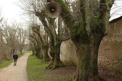 Sur le chemin de croix