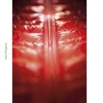 lcm_10_web (glissé(e)s) 55