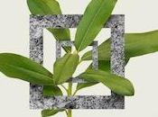 Grand plaisir soir vous dévoiler exclusivité trois titres...