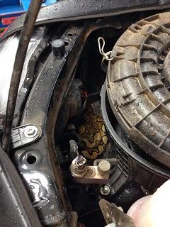 Toyota Thaïlande: Revision option serpent [HD]