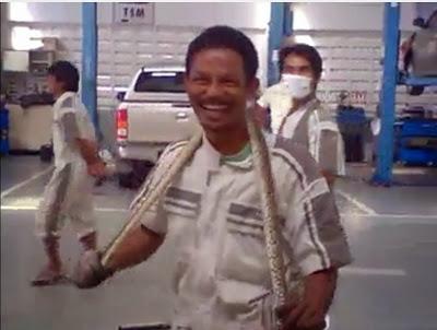 Toyota Thaïlande: Revision option serpent [HD]