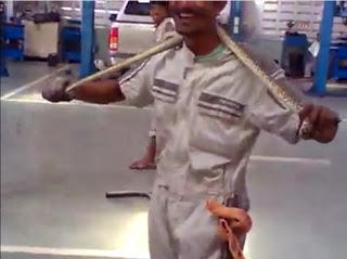 Toyota Thaïlande: Revision option serpent [HD]