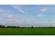 Faites (fêtes) gosses