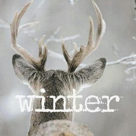 Renne en hiver via Nat et nature Noël approche…Encore un peu d'inspiration ?