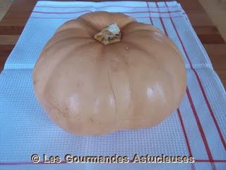 Omelette au quinoa et courge Tan cheese épicée